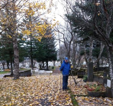 Teppalagt með laufum 2016